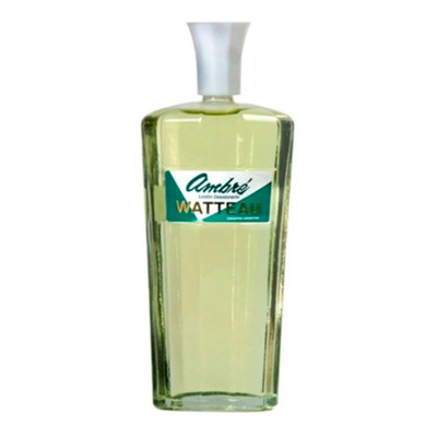 Perfume Watteau Ambre 440 ml